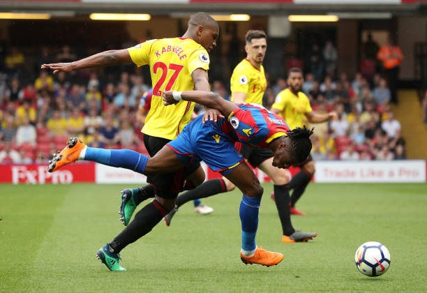 育范畴的教 育范畴的教