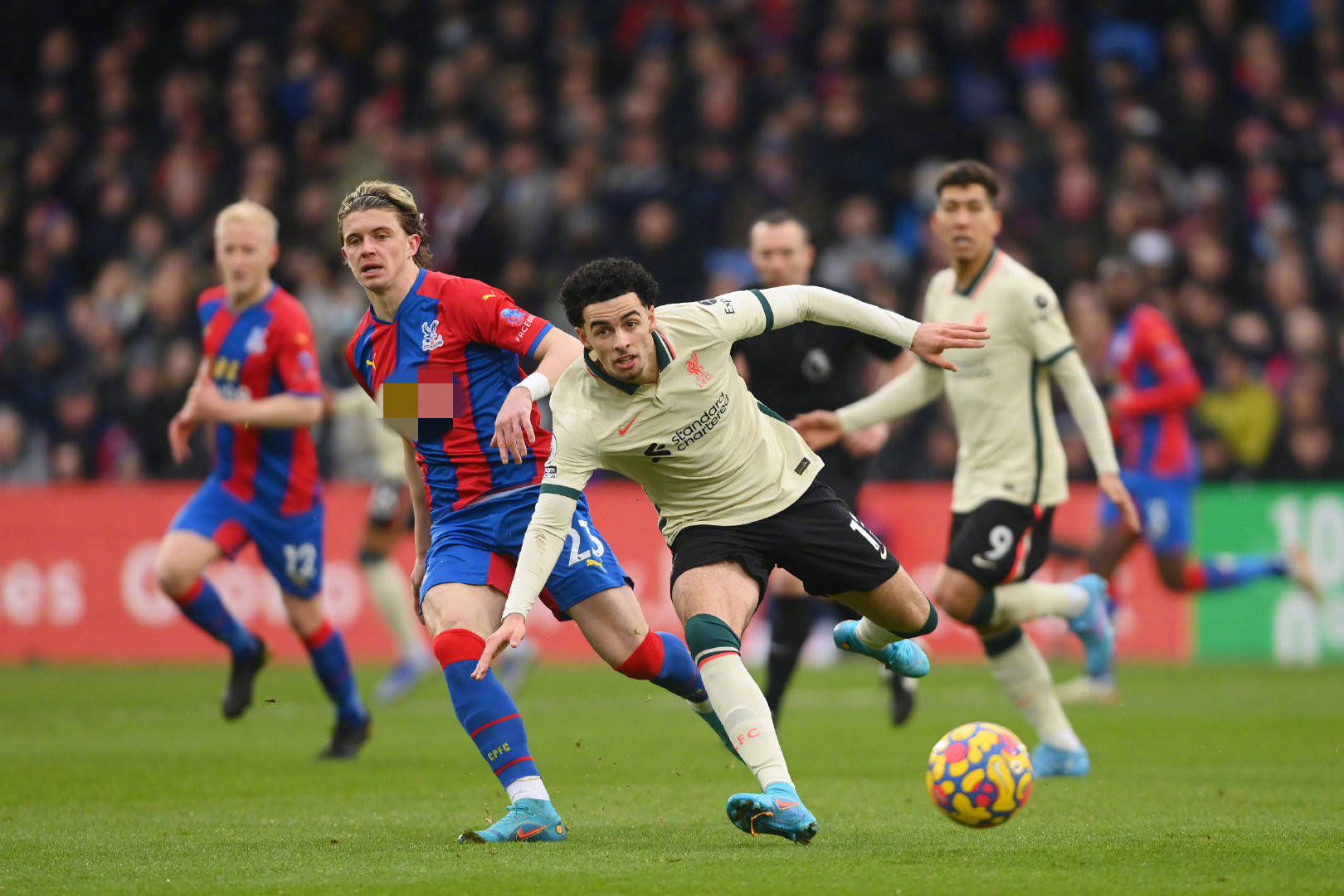 皮亚斯特里 皮亚斯特里