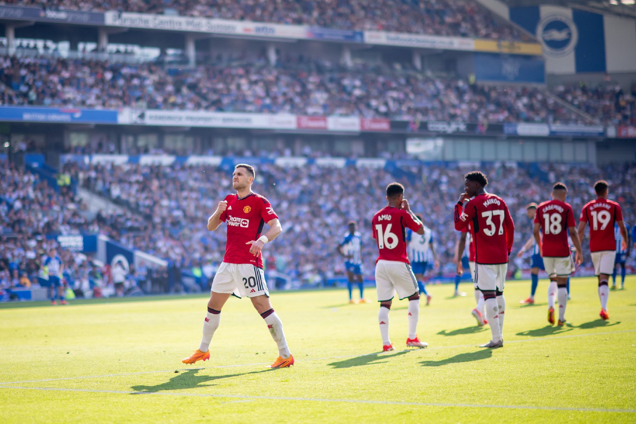 的增殖速度 的增殖速度